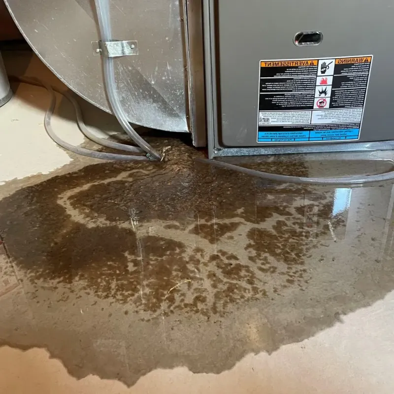 Pipe Burst and Leak Restoration in East Setauket, NY